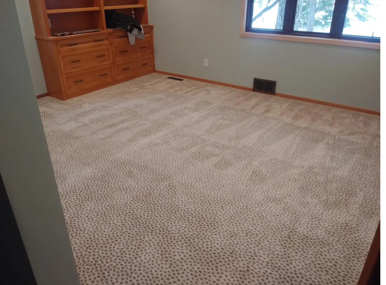 Textured neutral carpet — family room, installed by QFI